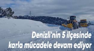 Denizli'nin 5 ilçesinde karla mücadele devam ediyor