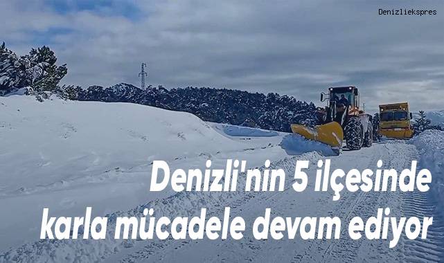 Denizli'nin 5 ilçesinde karla mücadele devam ediyor