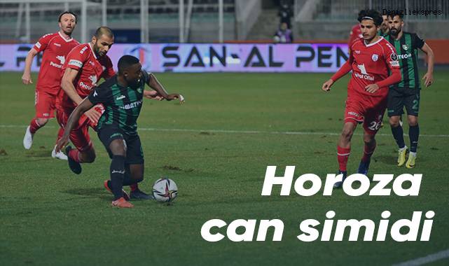 Denizlispor: 1 - Altınordu: 0