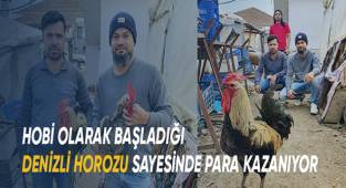 Hobi olarak başladığı Denizli Horozu sayesinde para kazanıyor