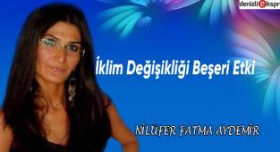 İklim Değişikliği Beşeri Etki