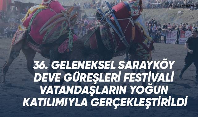 Kıyasıya mücadele eden pehlivan develer arenayı ısıttı