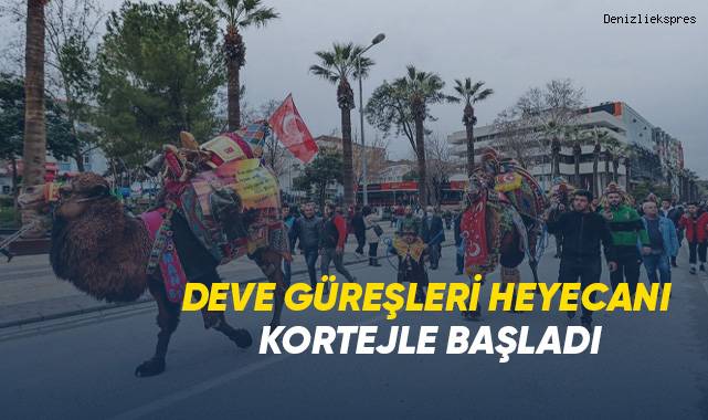 Pehlivan develer görücüye çıktı