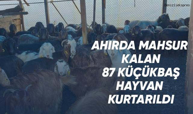 Şiddetli yağışta mahsur kalan 87 hayvanı itfaiye kurtardı