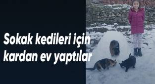 Sokak kedileri için kardan ev yaptılar