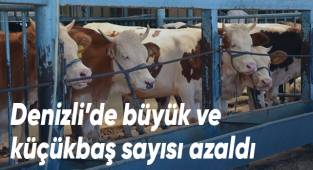 TÜİK, Denizli’deki hayvansal üretim istatistiklerini açıkladı