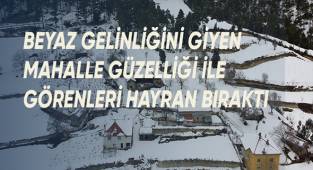 Yaylada bulunan mahalle güzelliğiyle misafirlerini bekliyor