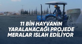 11 bin hayvanın yaralanacağı projede meralar ıslah ediliyor