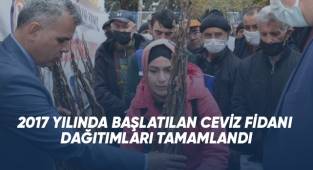 2017 YILINDA BAŞLATILAN CEVİZ FİDANI DAĞITIMLARI TAMAMLANDI