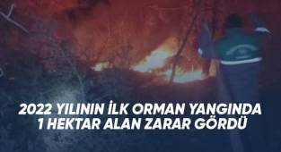 2022 yılının ilk orman yangında 1 hektar alan zarar gördü