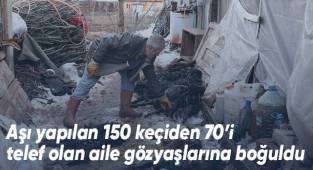 Aşı yapılan 150 keçiden 70’i telef olan aile gözyaşlarına boğuldu