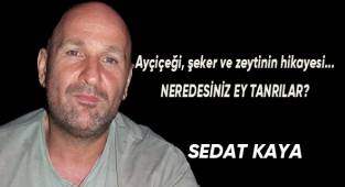 Ayçiçeği, şeker ve zeytinin hikayesi... NEREDESİNİZ EY TANRILAR?