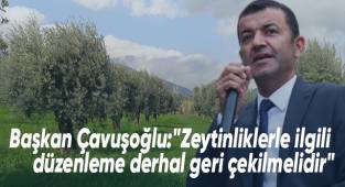 Başkan Çavuşoğlu, zeytinlik Alanlarla ilgili düzenlemeye tepki gösterdi