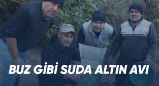 Buz gibi suda altın avı