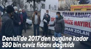 Denizli'de ceviz üretim alanları genişliyor
