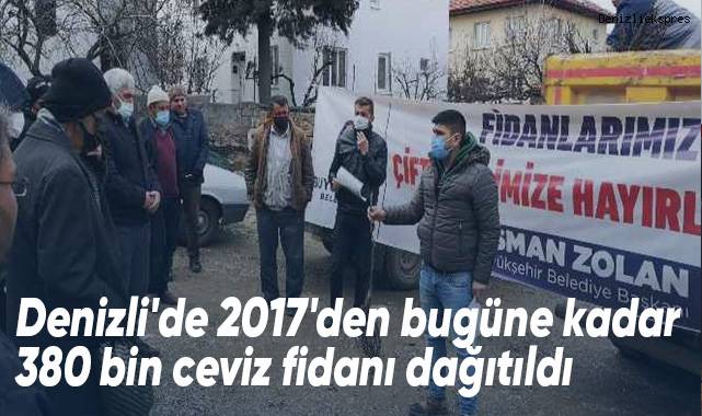 Denizli'de ceviz üretim alanları genişliyor