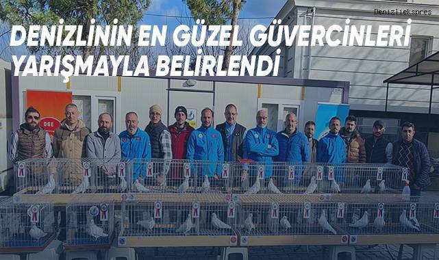 Güzellikleriyle dikkat çeken 110 güvercin, yarışmada yoğun ilgi gördü