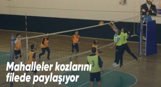 Mahalleler kozlarını filede paylaşıyor