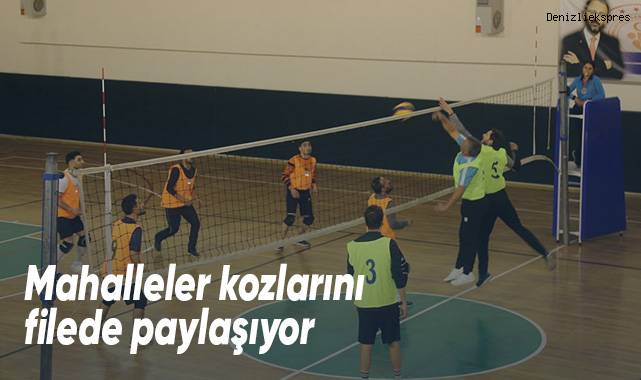 Mahalleler kozlarını filede paylaşıyor