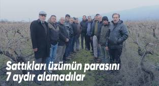 Sattıkları üzümün parasını 7 aydır alamadılar