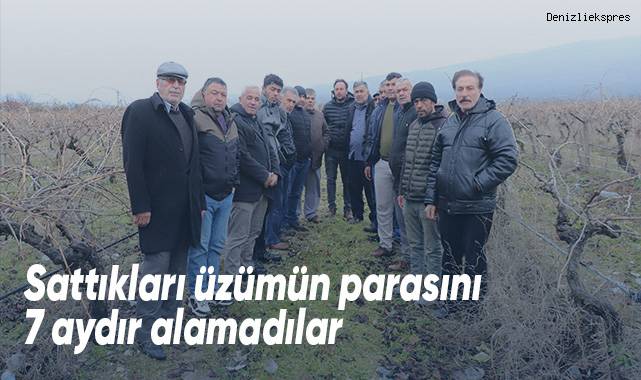 Sattıkları üzümün parasını 7 aydır alamadılar