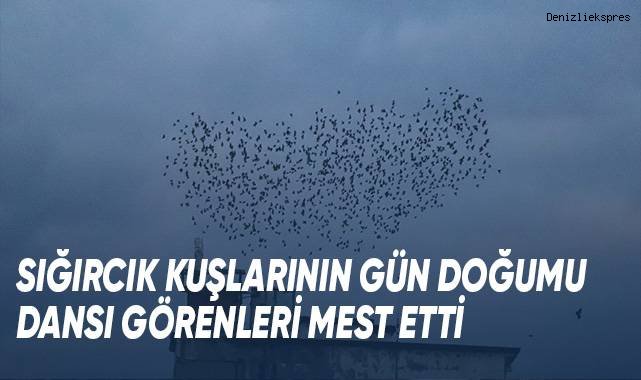 Sığırcık kuşlarının gün doğumu dansı görenleri mest etti
