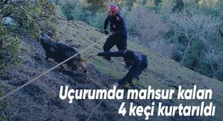 Uçurumda mahsur kalan 4 keçi kurtarıldı