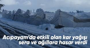 Yoğun kar yağışı sera ve ağıllarda hasar oluşturdu