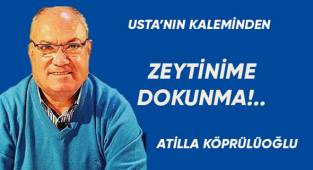 ZEYTİNİME DOKUNMA!..