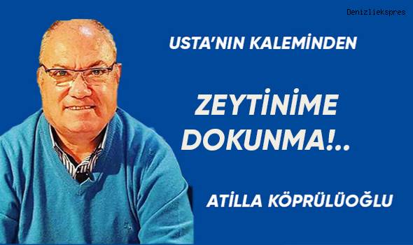 ZEYTİNİME DOKUNMA!..