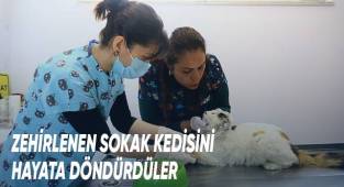 Alkışlar Büyükşehir veterinerlerine