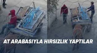 At arabasıyla hırsızlık yaptılar