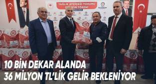 Büyükşehir'den çiftçilere yağlık ayçiçeği tohumu desteği