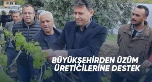 Büyükşehirden üzüm üreticilerine destek