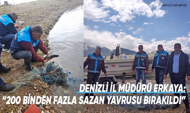 Denizli'de kaçak avcılara göz açtırılmıyor