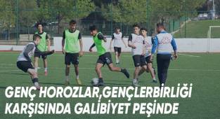 Genç Horozlar, Gençlerbirliği karşısında galibiyet peşinde