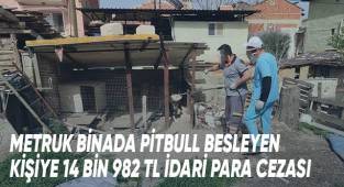 Metruk binada pitbull besleyen kişiye 14 bin 982 TL idari para cezası