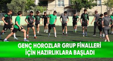 Genç horozlar grup finalleri için hazırlıklara başladı