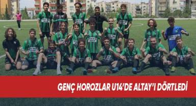 Genç horozlar U14’de Altay’ı dörtledi