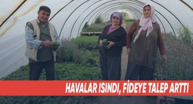 Havalar ısındı, fideye talep arttı