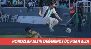 Horozlar Altın Değerinde Üç Puan Aldı