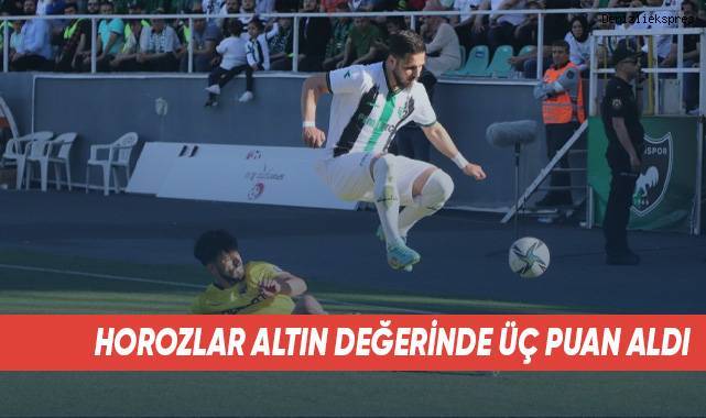 Horozlar Altın Değerinde Üç Puan Aldı