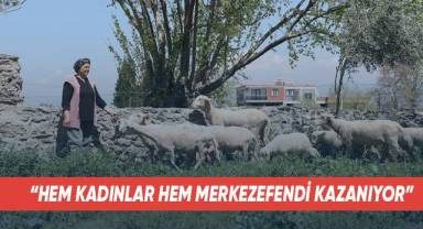 Kadın üreticilere verilen koyunlar kuzulamaya başladı
