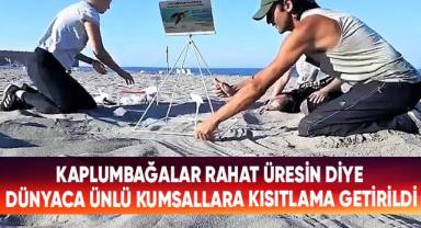 Kaplumbağalar rahat üresin diye dünyaca ünlü kumsallara kısıtlama getirildi
