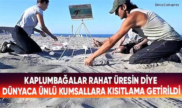 Kaplumbağalar rahat üresin diye dünyaca ünlü kumsallara kısıtlama getirildi