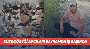 Kuzugöbeği avcıları bayramda iş başında