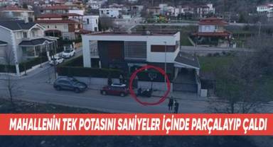 Mahallenin tek potasını saniyeler içinde parçalayıp çaldı