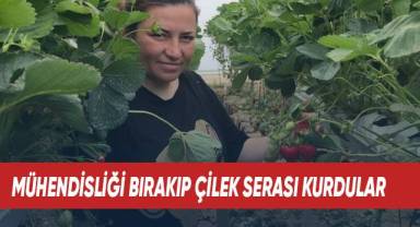 Mesleklerini bırakıp çilek üreticisi olan mühendis çift, ilk hasadını aldı
