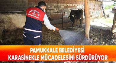 Pamukkale Belediyesi Karasinekle Mücadelesini Sürdürüyor