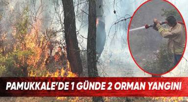 Pamukkale'de 1 günde 2 orman yangını